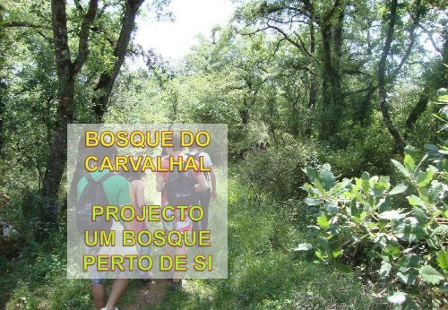 Bosque do Carvalhal - CiÃªncia Viva