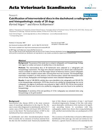 Calcification of intervertebral discs in the dachshund: a radiographic ...