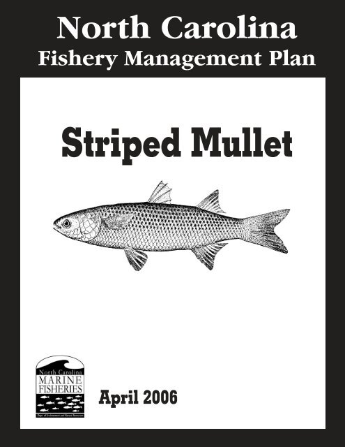 Striped Mullet FMP - NC Dept. of Environment and Natural Resources