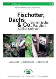 Fischotter, Dachs & Co. - Aktion Fischotterschutz e.v