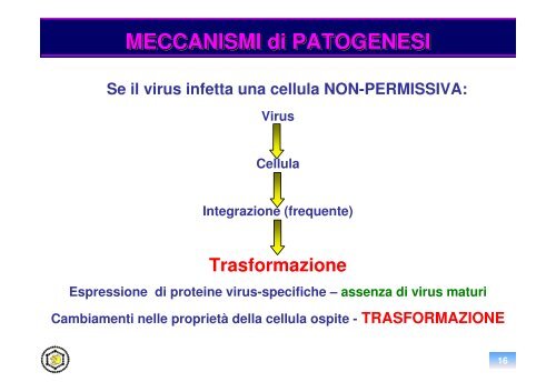 oncogenesi virale - Sezione di Microbiologia