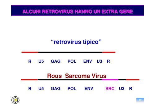 oncogenesi virale - Sezione di Microbiologia