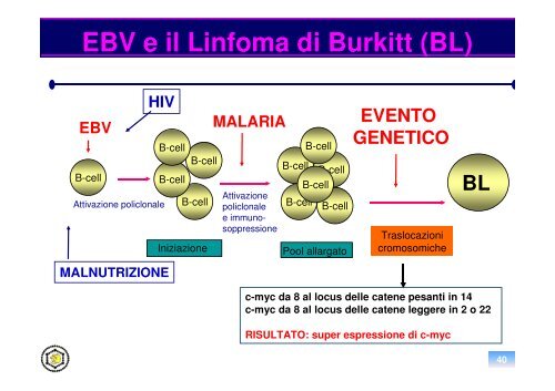 oncogenesi virale - Sezione di Microbiologia