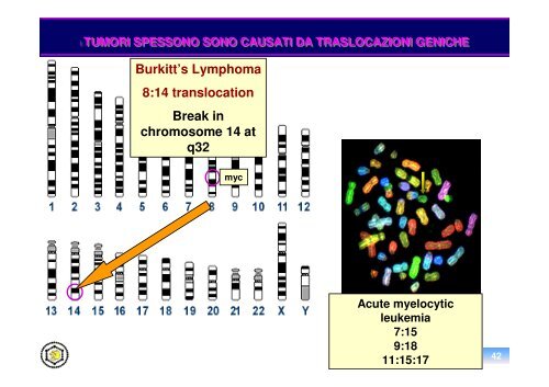 oncogenesi virale - Sezione di Microbiologia