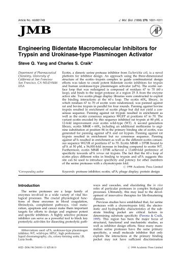 Engineering Bidentate Macromolecular Inhibitors ... - ResearchGate