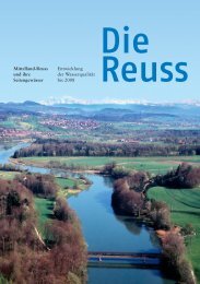 Reuss und Untere Lorze - Entwicklung der ... - Kanton Zug