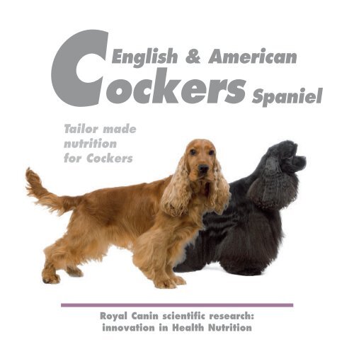 royal canin cocker spaniel junior