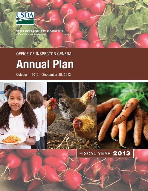 FY 2013 Annual Plan - US Department of Agriculture