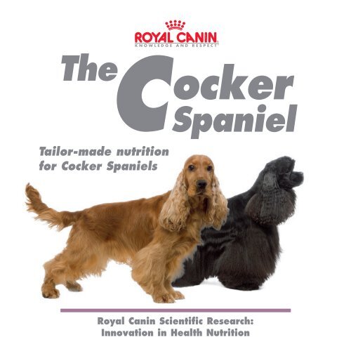 cocker spaniel - Royal Canin USA