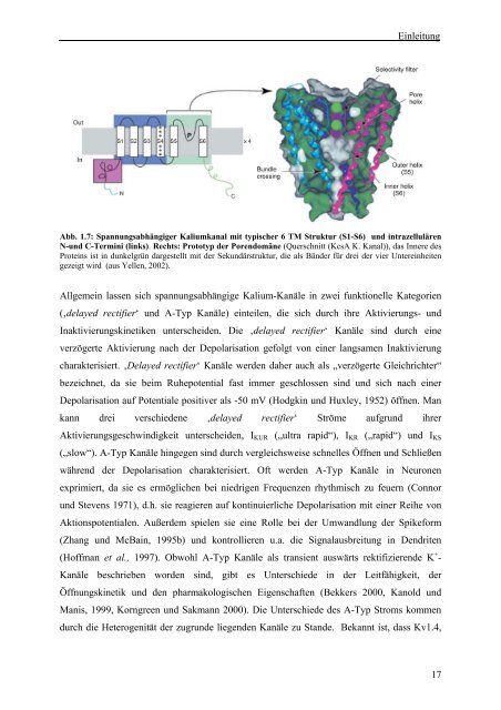 Identifikation und funktionale Charakterisierung - Logo Dragon-Ivf ...