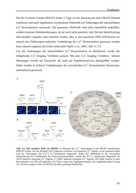 Identifikation und funktionale Charakterisierung - Logo Dragon-Ivf ...