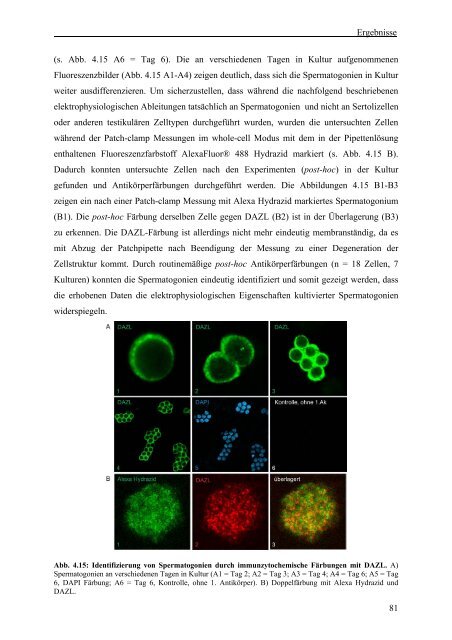 Identifikation und funktionale Charakterisierung - Logo Dragon-Ivf ...