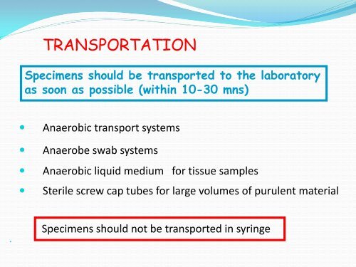 anaerobic bacteria