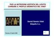 Aromi del vino e nutrizione azotata - Enartis