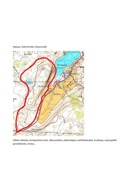 Hollola, Paimela, Pilkanmäet Vanhoja metsiä, Natura-alueita ... - Lahti