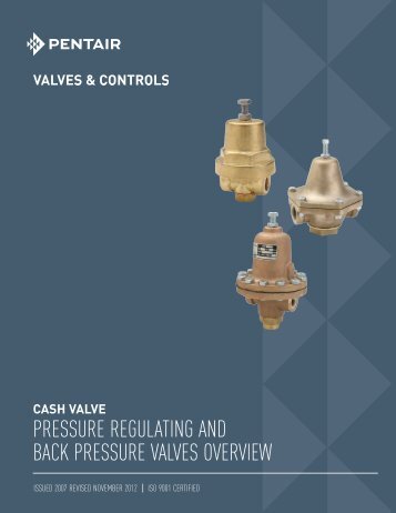 Cash Valve - Valves and Controls - Pentair