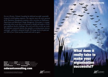 Make your Organisation Successful - Celerant Consulting