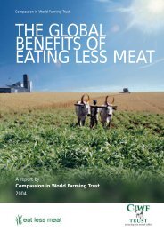 Global benefits of eating less meat - Compassion in World Farming