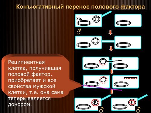 ÐÐµÐ½ÐµÑÐ¸ÐºÐ° Ð¼Ð¸ÐºÑÐ¾Ð¾ÑÐ³Ð°Ð½Ð¸Ð·Ð¼Ð¾Ð²2010 October.pdf