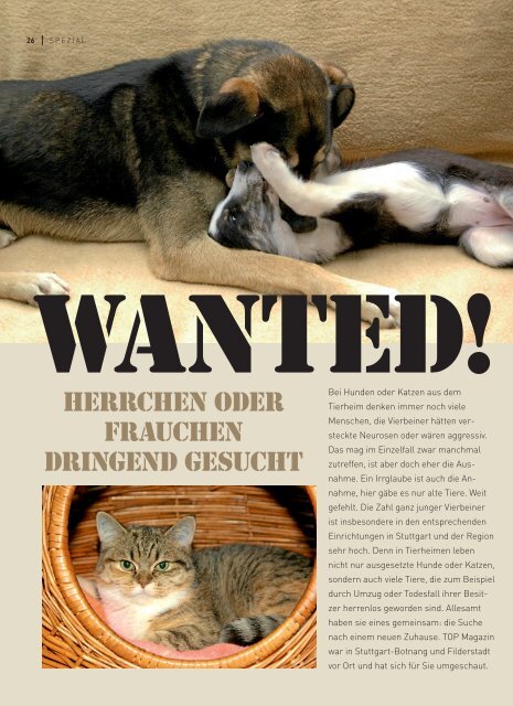 Herrchen oder Frauchen dringend gesucht