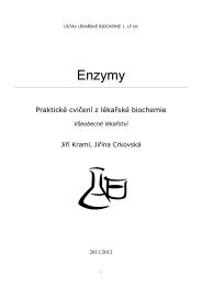 Enzymy - Ãstav lÃ©kaÅskÃ© chemie a biochemie