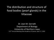 pearl glands - Viticulture Iowa State University