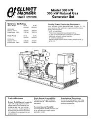 Model 300 RN 300 kW Natural Gas Generator Set - Western ...