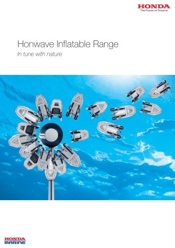 Honwave Inflatable Brochure