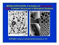 BIOSILICIFICATION: Formation of Amorphous Silica Complex ...