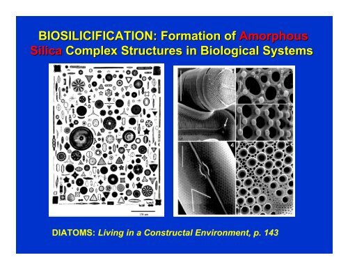 BIOSILICIFICATION: Formation of Amorphous Silica Complex ...