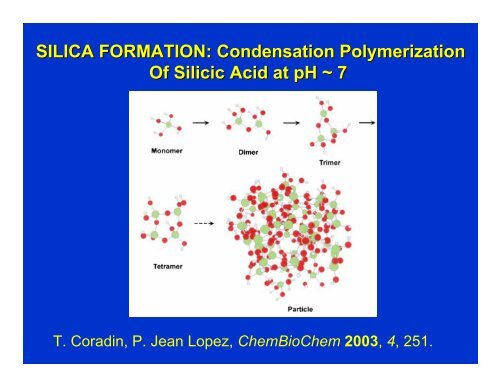 BIOSILICIFICATION: Formation of Amorphous Silica Complex ...