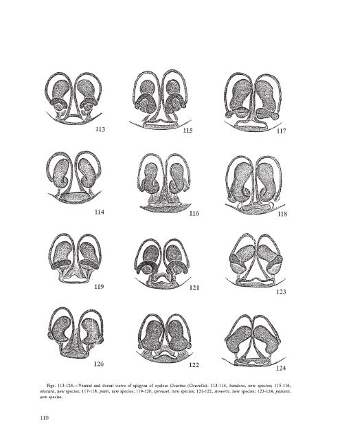 searchable PDF - Association for Mexican Cave Studies