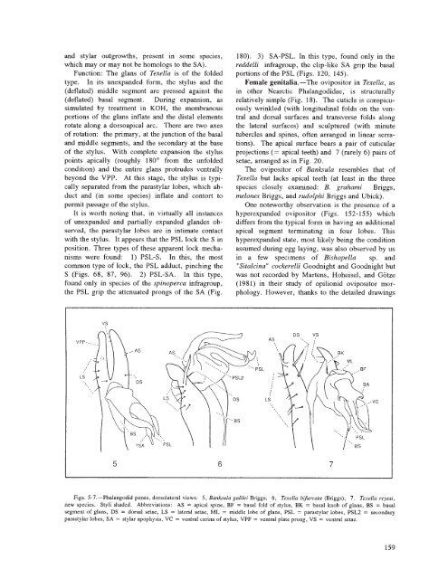 searchable PDF - Association for Mexican Cave Studies