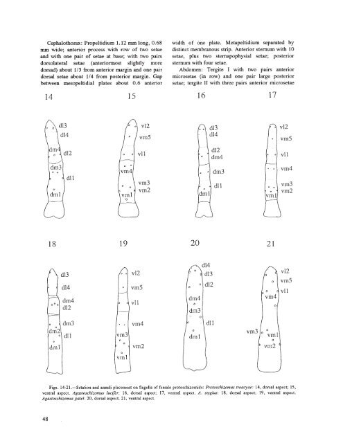 searchable PDF - Association for Mexican Cave Studies