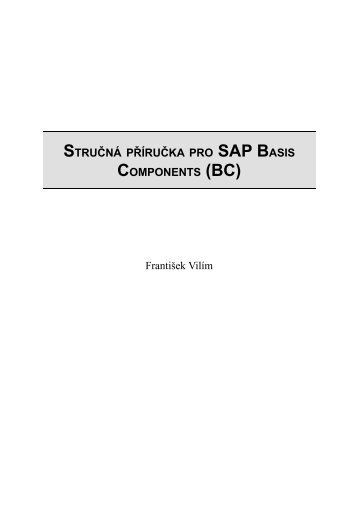 StruÃÂnÃÂ¡ pÃÂÃÂ­ruÃÂka pro SAP Basis Components (BC) - VolnÃÂ½