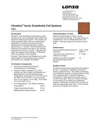 Endothelial - Tech Sheet - HAEC (Aortic) - CC-34-5