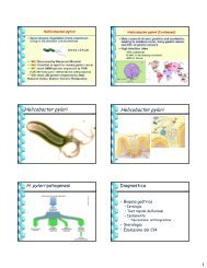 Helicobacter pylori Helicobacter pylori H. pylori ... - E-learning