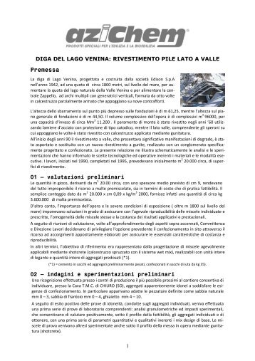 Scarica la relazione tecnica di intervento della diga del ... - Infobuild