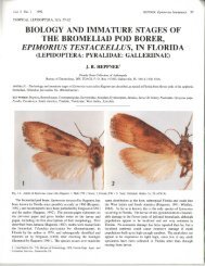 biology and immature stages of the bromeliad pod borer, epimorius ...