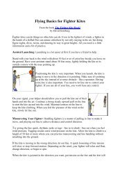 Fighter Basics-Gomberg.pdf - fighterkitecentral.com