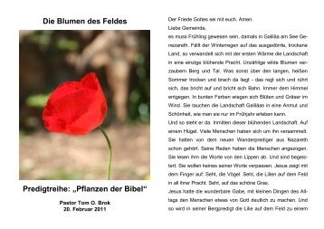 Die Blumen des Feldes Predigtreihe: „Pflanzen der Bibel“