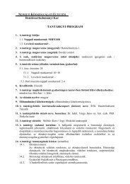HatÃ¡rellenÅrzÃ©s 1. - RendÃ©szettudomÃ¡nyi Kar - Nemzeti ...