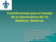 Contribuciones para el manejo de la micro cuenca del río Naolinco ...