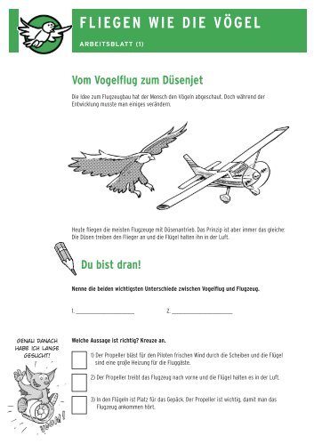 FLIEGEN WIE DIE VÖGEL