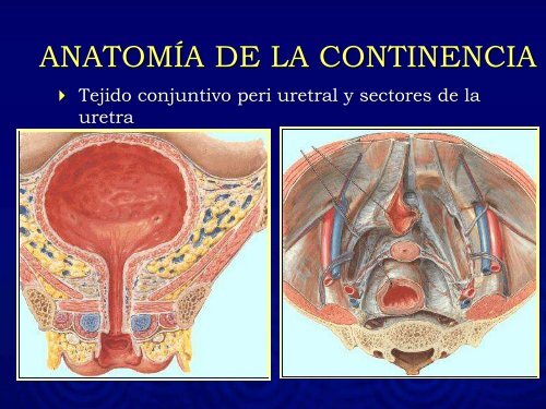 INCONTINENCIA DE ORINA