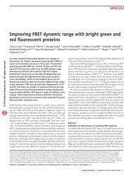 improving Fret dynamic range with bright green and red fluorescent ...