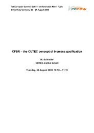 CFBR - The CUTEC-Concept of biomass gasification