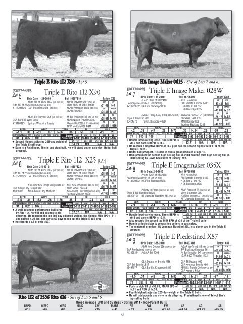 & Triple E Angus - Angus Journal