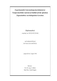 Diplomarbeit