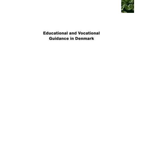 Educational and Vocational Guidance in Denmark
